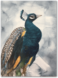 Original Handmade Peacock Painting