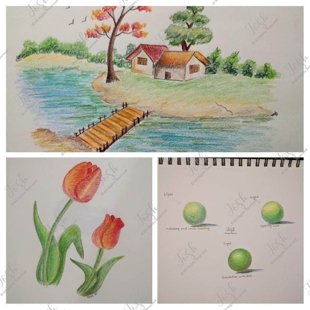 Color Pencil Sketching Classes