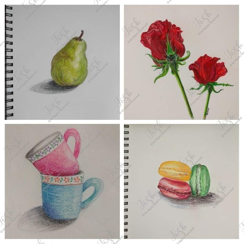 Color Pencil Sketching Classes